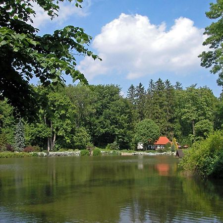 Bed and Breakfast Rezkakas Fogado Зирц Экстерьер фото