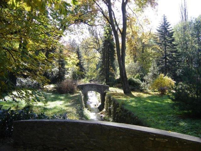 Bed and Breakfast Rezkakas Fogado Зирц Экстерьер фото